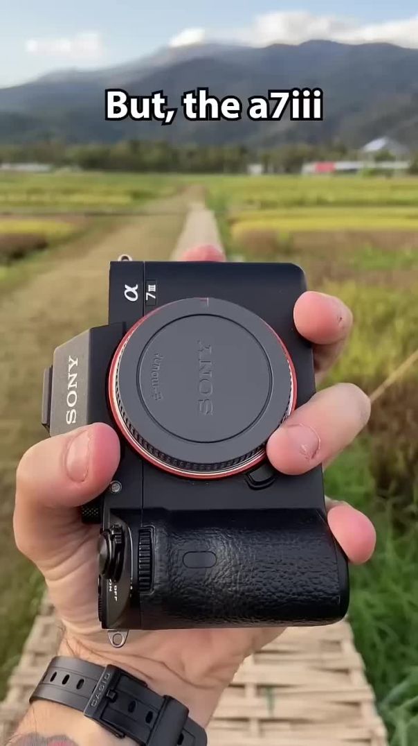Sony a7iii Review 2024 ? #a7iii